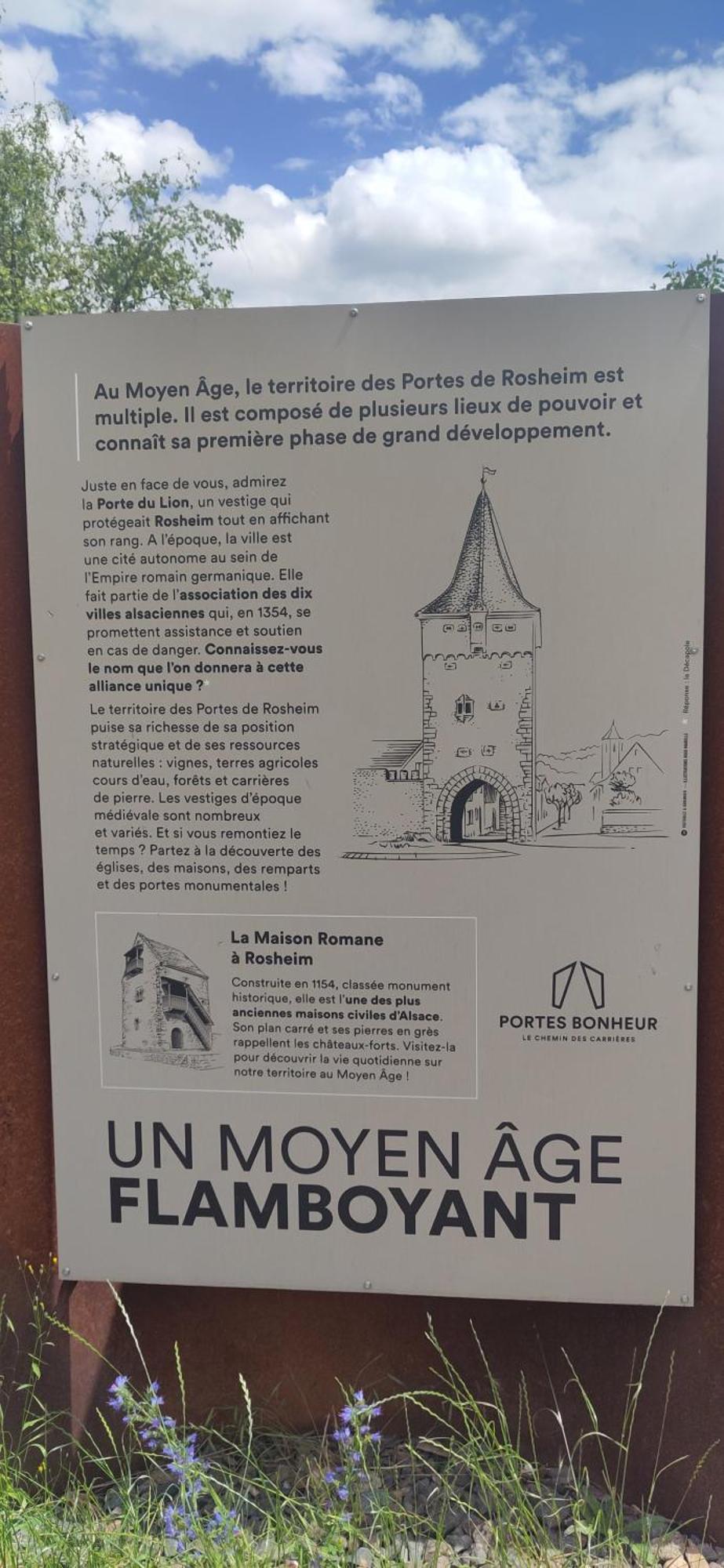 La Maisonnette Bleue, Eco-Logis Equipe De Toilettes Seches Rosheim Exterior foto