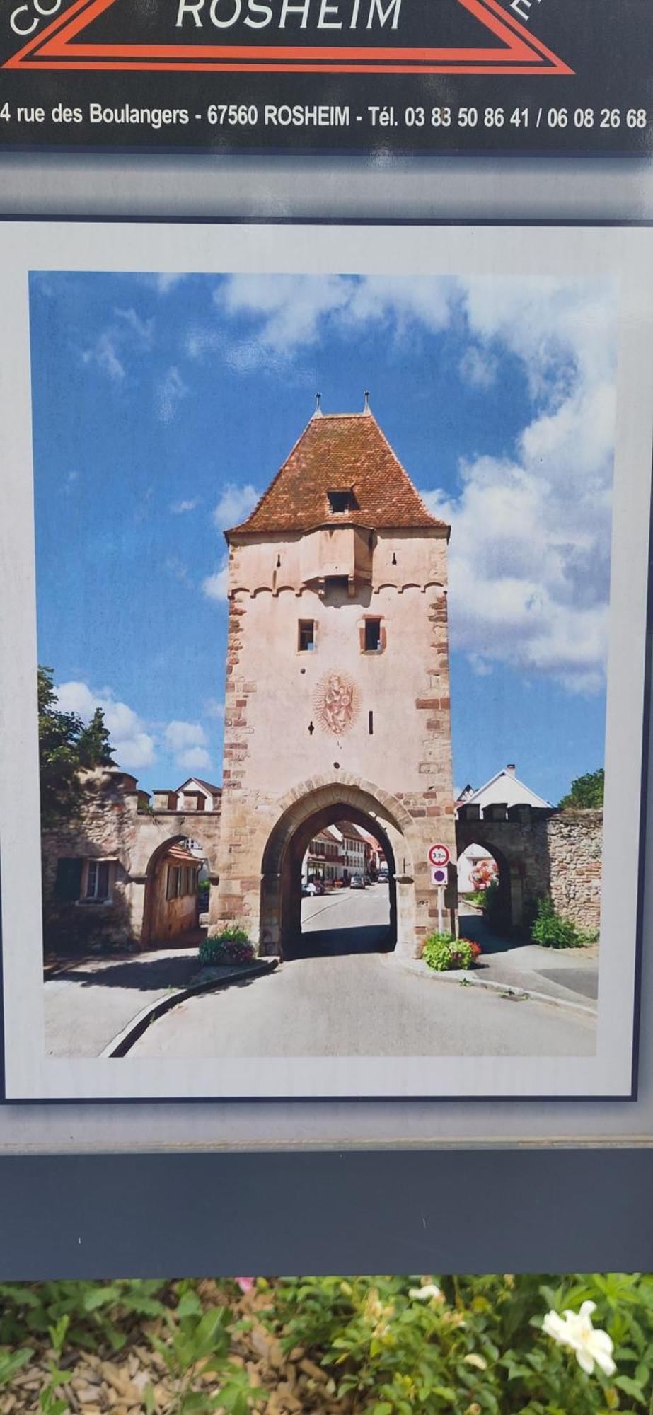 La Maisonnette Bleue, Eco-Logis Equipe De Toilettes Seches Rosheim Exterior foto